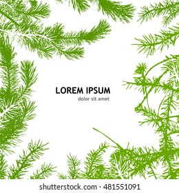 Frame with fir branches. Vector