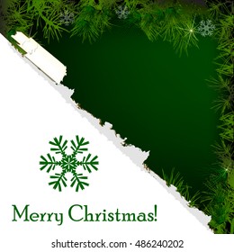 Frame with fir branches. Vector