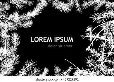 Frame with fir branches. Vector