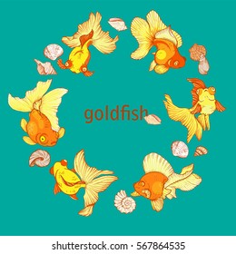 frame with fish and shells on the blue background, vector illustration