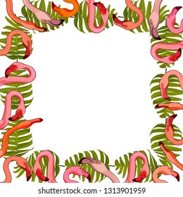 Frame with flamingos in the leaves. Vector illustration, EPS 10