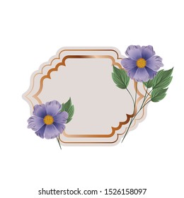 frame with flower and leafs isolated icon vector illustration design
