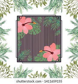 frame with flower and leafs of summer