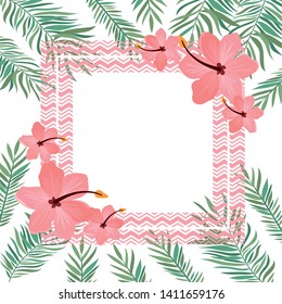 frame with flower and leafs of summer
