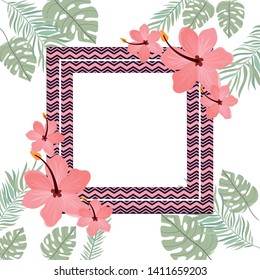 frame with flower and leafs of summer