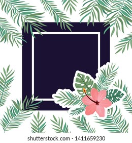 frame with flower and leafs of summer