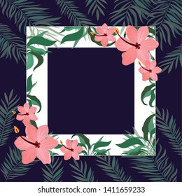 frame with flower and leafs of summer
