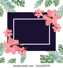 frame with flower and leafs of summer