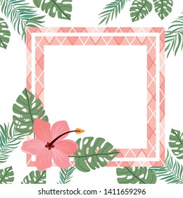 frame with flower and leafs of summer