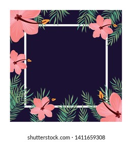 frame with flower and leafs of summer