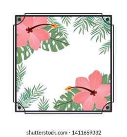 frame with flower and leafs of summer