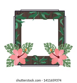 frame with flower and leafs of summer