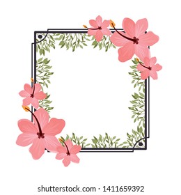 frame with flower and leafs of summer