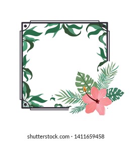 frame with flower and leafs of summer