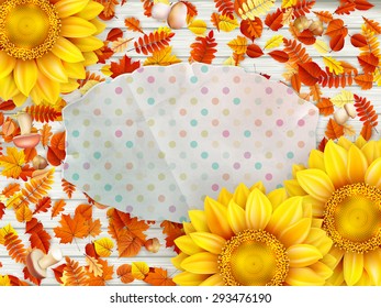 Frame with flower, nuts and Mushrooms. EPS 10 vector file included