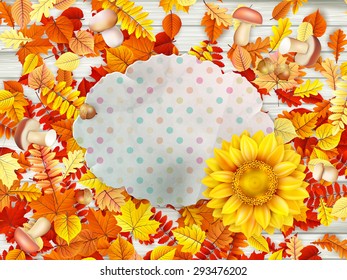 Frame with flower, nuts and Mushrooms. EPS 10 vector file included