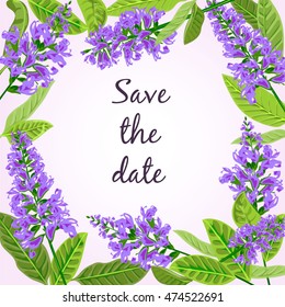frame flowering sage.Hand drawn vector illustration eps10