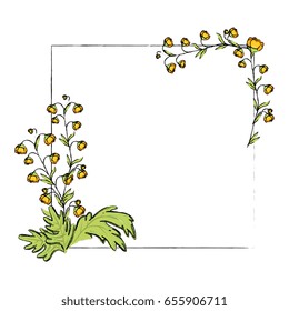 Frame with flowers