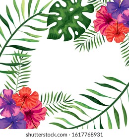 frame of flowers with branches and leafs vector illustration design