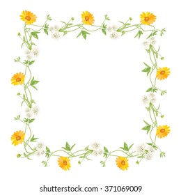 Frame of flowers calendula clover