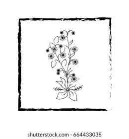 frame with flowers icon