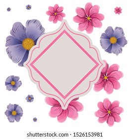 frame with flowers isolated icon vector illustration design