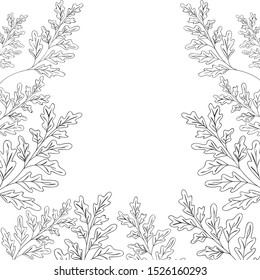 frame with flowers isolated icon vector illustration desing