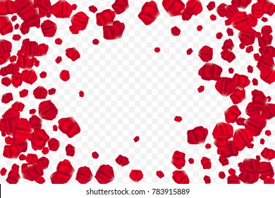 Frame of flying random, chaotic red petals on transparent background.