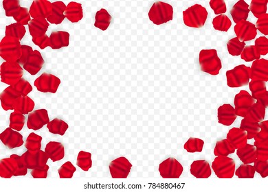 Frame of flying random, chaotic red petals on transparent background.