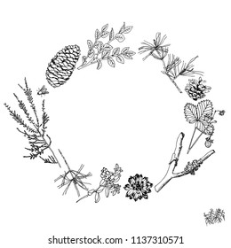 frame with  forest elements , a sketch of a hand-drawn vector illustration