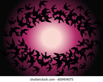 Frame in the form of birds circling at dawn