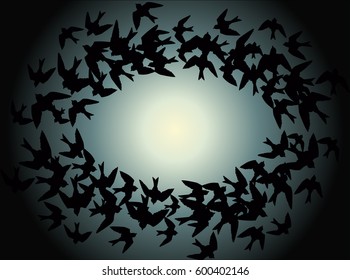 Frame in the form of birds circling in the night sky