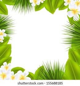 Frame With Frangipani And Leaf With Gradient Mesh, Vector Illustration