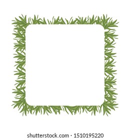 
Frame with free space of isolated sprigs of green rosemary. Flat vector. Illustration.