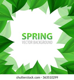 frame with fresh green leaves. Vector Illustration