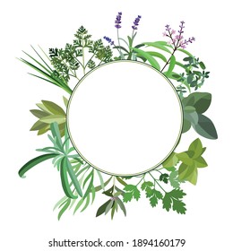 Frame with fresh herbs and spices. Banner with leaf and grass. Floral flat design elements. Vector illustration.