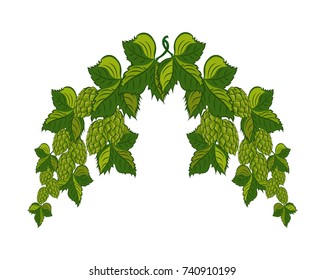 Frame with fresh hop branches And leaves. Isolated on white background. Drawing. Vector illustration.