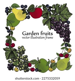 Frame with fruits. Garden fruits frame template. Fresh fruits - apples, pears, grapes and cherries. Template for a vegetarian restaurant. Vintage engraving stylized drawing. Vector illustration