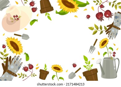 conjunto de patrones de flores de jardín de marco