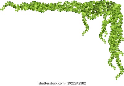 つる草 のイラスト素材 画像 ベクター画像 Shutterstock