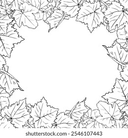 Frame of grape leaves, flower arrangement with leaves as a frame for design. Branch of grape vine with leaves.