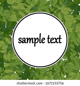 Frame with grape leaves, vector illustration, ornament for greetings and design, pattern in green