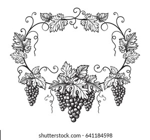 frame of grapes monochrome sketch. Hand drawn grape bunches.