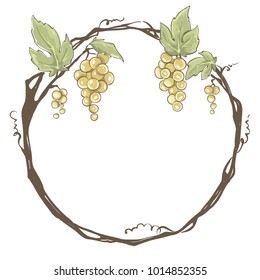 Frame from grapes / Vector illustration, set floral design element