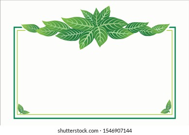 Frame graphic  close up of green leaves.