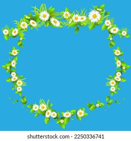 frame of grass and daisies vector illustration