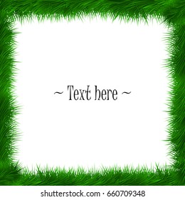 Frame of grass on white background.  Vector illustration