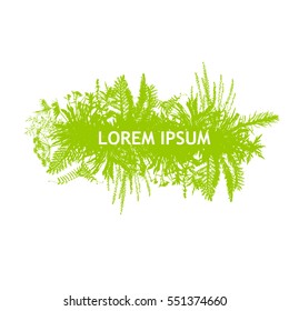 Frame with grass. Vector