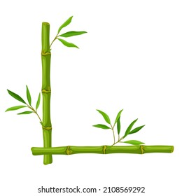 Frame with green bamboo stems and leaves. Decorative exotic plants of jungle tropic jungle.
