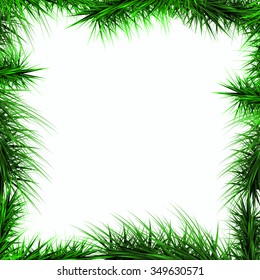 frame, green branches of a Christmas tree isolated on a white background, vector
